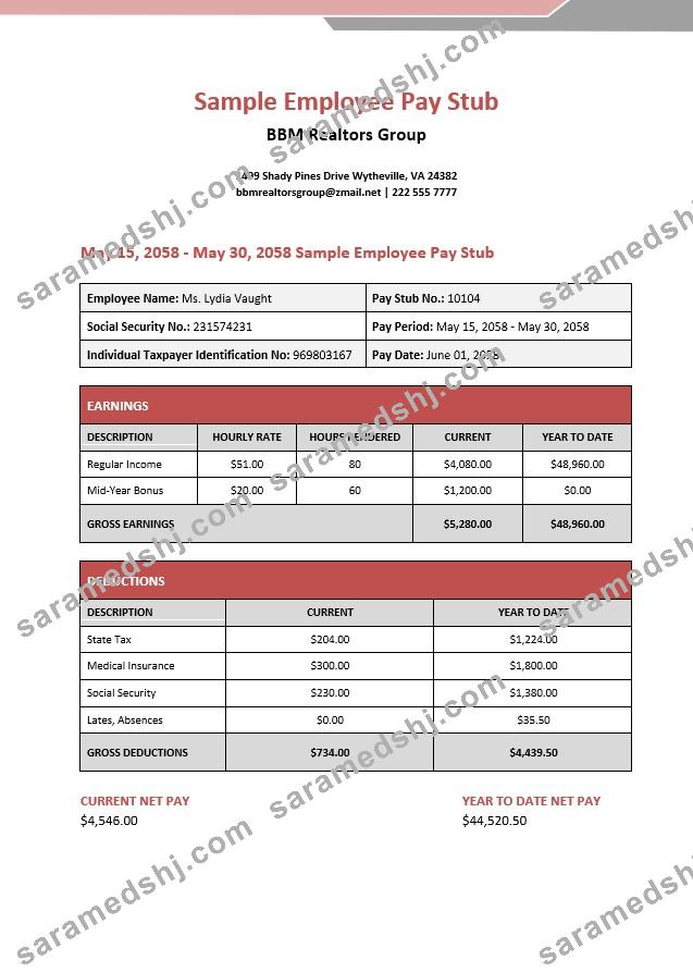 BBM realtors group employee pay stub in PDF and Word formats